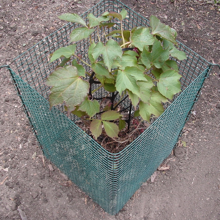 Pacific Accents Expandable Modular Garden Fencing System 2.0
