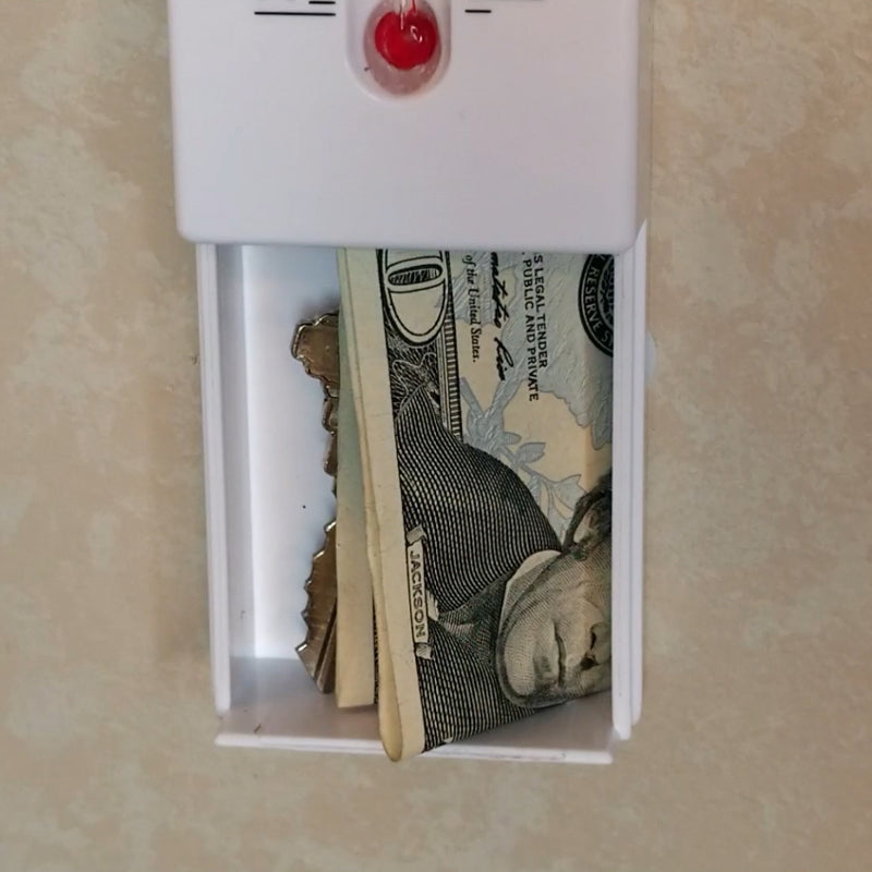 Secret Safe - Indoor/Outdoor Thermometer